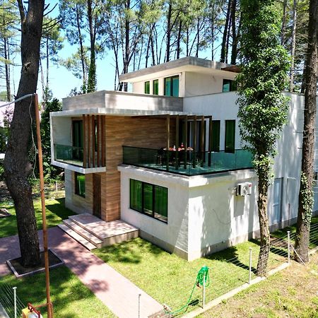 Pine Aparthotel Shekhvetili Ngoại thất bức ảnh