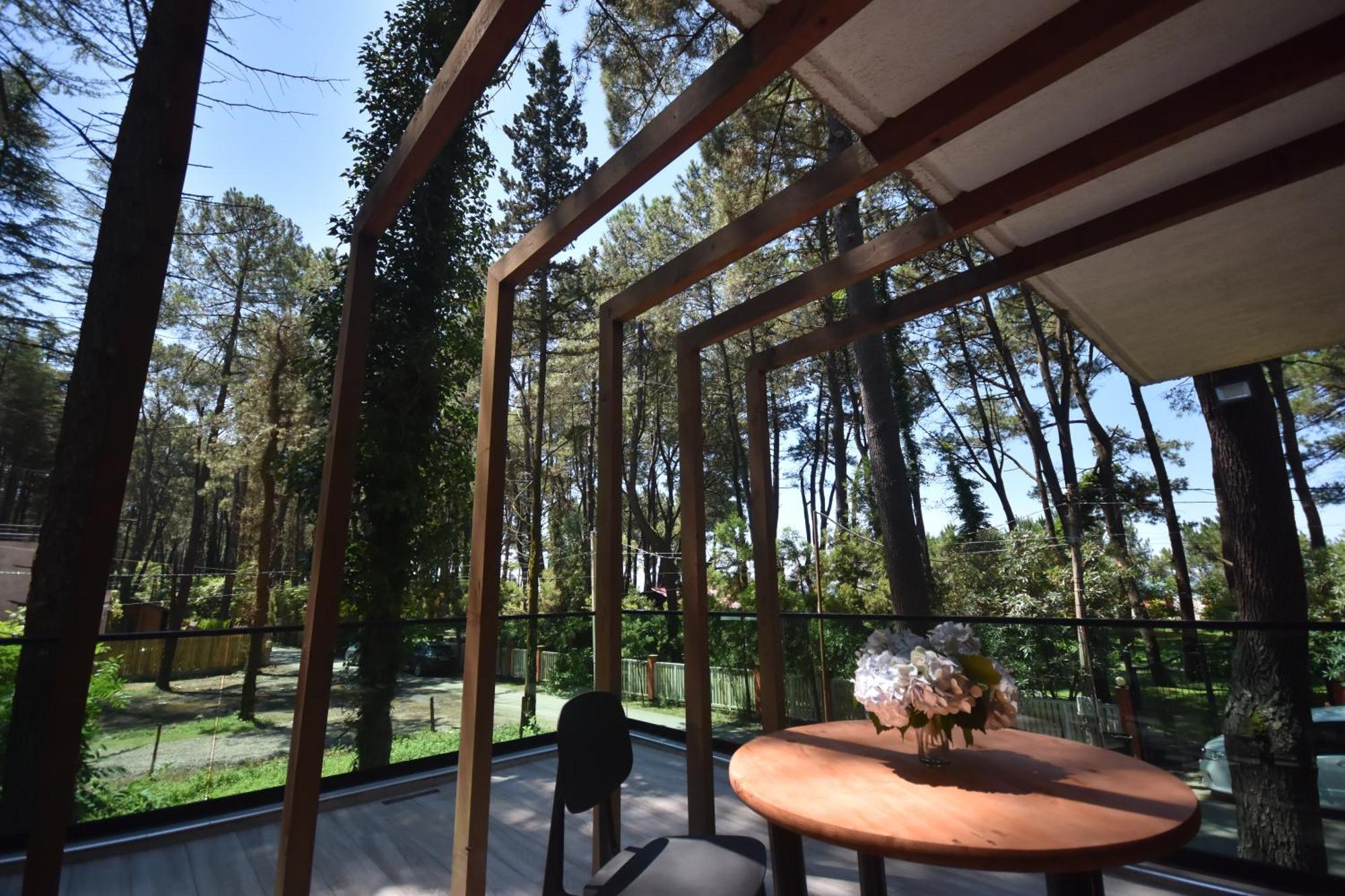 Pine Aparthotel Shekhvetili Ngoại thất bức ảnh