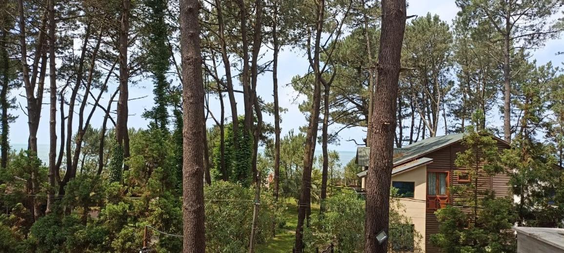 Pine Aparthotel Shekhvetili Ngoại thất bức ảnh